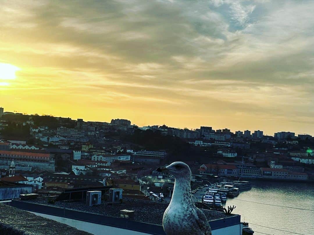 藤井アルダさんのインスタグラム写真 - (藤井アルダInstagram)「City of romance 💝   #porto #portugal   何百年前から変わらない美しさを今でも残されている🙏感動🥹 2人で来れて本当に最高。」2月14日 6時30分 - akemi_rafaela