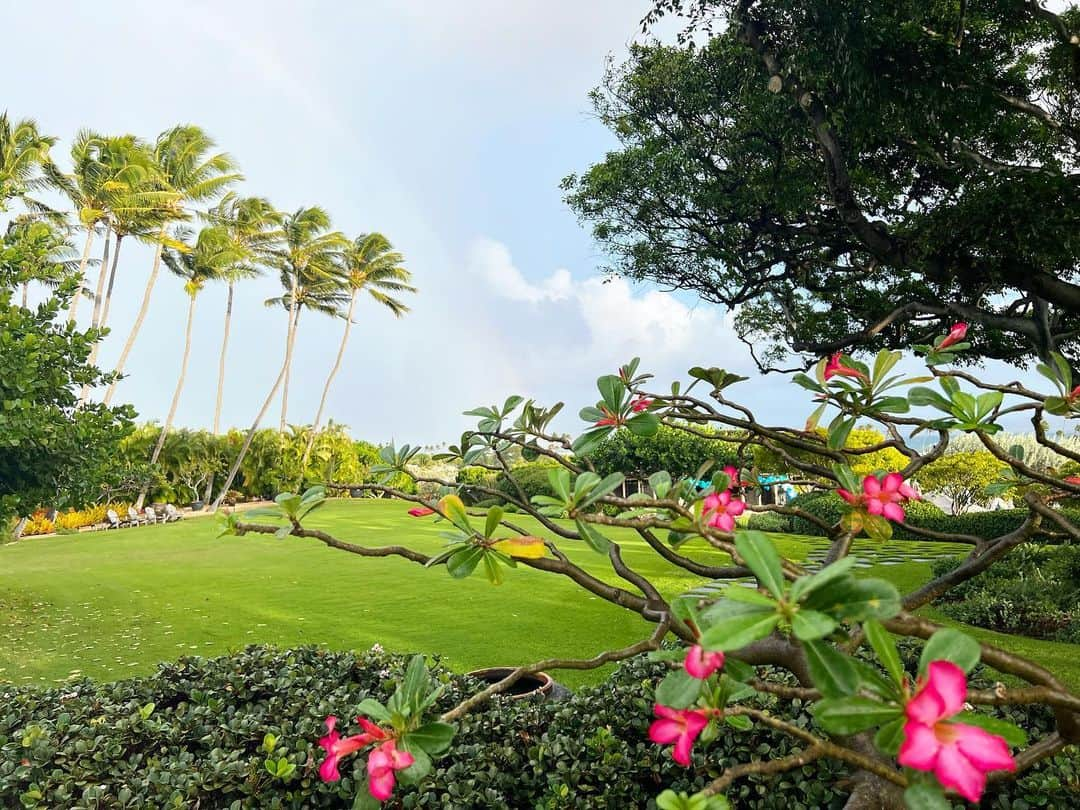 マキ・コニクソンさんのインスタグラム写真 - (マキ・コニクソンInstagram)「おはよ！🌺  朝から雨が降ったり止んだり だから虹ちゃまが🌈 たくさん顔を出してくれてる！😊 写真の奥にうっすら🌈ちゃまがいます！  雨が降った後って空気が澄んで 清々しい気分になる。 なんたって恵の雨ですから雨って大切 ☔️🙏🏻 だし ☔️+☀️=🌈  先日、私の主催するオンラインリトリート ”Ms.Positive”でたくさんの女子と自分達が思ってる事を共有し合ってるうちに 悩んでいるのは自分だけじゃなんだ！ って、ハッとさせられてる人が たくさんいました！自分を見つめられる いい機会になったのでは？  ポジティブ思考に切り替えるメソッドなど 話したんだけどMs.Positiveになるのには、 とっても簡単でシンプルな事！ それは！☝🏼 ↓ 自分が行動に移すしかないんです！ 自分しか出来ないから、 全て自分次第なんです！  自分を悲劇のヒロインにする人や 被害妄想気味の方は自分の話ばかりでなく　 人の悩み話を聞いてあげる事も よいお勉強になります！反面教師になるので 自分を見つめ直すのにいい機会です！  分かっちゃいるんだけどねー。😅 って人がたぁくさんいると思うけど、 焦らずゆっくり、ゆっくり 自分を修正していきましょうね！😊 人生は日々お勉強です。✍🏻 学びの毎日です！日々トレーニング！ 私もそうだから、 一緒に成長していきましょう！💪🏼  #エアハワイ🌺  #ハワイのおすそ分け🤙🏼  #オンラインリトリート #ms.positive第1期生 #自分を見つめ直すいい機会 #You are not alone」2月14日 7時47分 - makikonikson