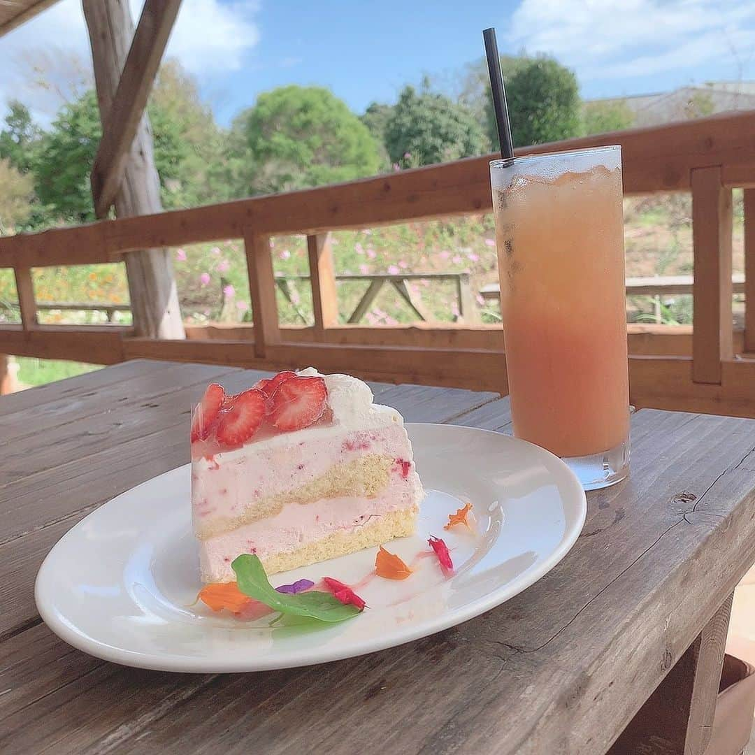 山邊歩夢のインスタグラム：「🍓🍽️🍹 * * 千葉県の九十九里にある "九十九里ハーブガーデン"さん * 写真に写っているのはグァバジュースと イチゴのレアチーズケーキ！ ジュースは濃厚でグァバをすごく感じて ケーキはとってもボリューミーだけど レアチーズでさっぱりもしていて 甘すぎずスッとなくなっちゃうし いちごがふんだんに入ってるから 口の中がいちごまみれになれます！！ * * #千葉グルメ #千葉スイーツ #千葉カフェ #関東グルメ #九十九里グルメ #スイーツ巡り #スイーツ好き #スイーツ部 #九十九里ハーブガーデン #イチゴのレアチーズケーキ #いちごスイーツ #いちごケーキ #グァバジュース #あゆログ」