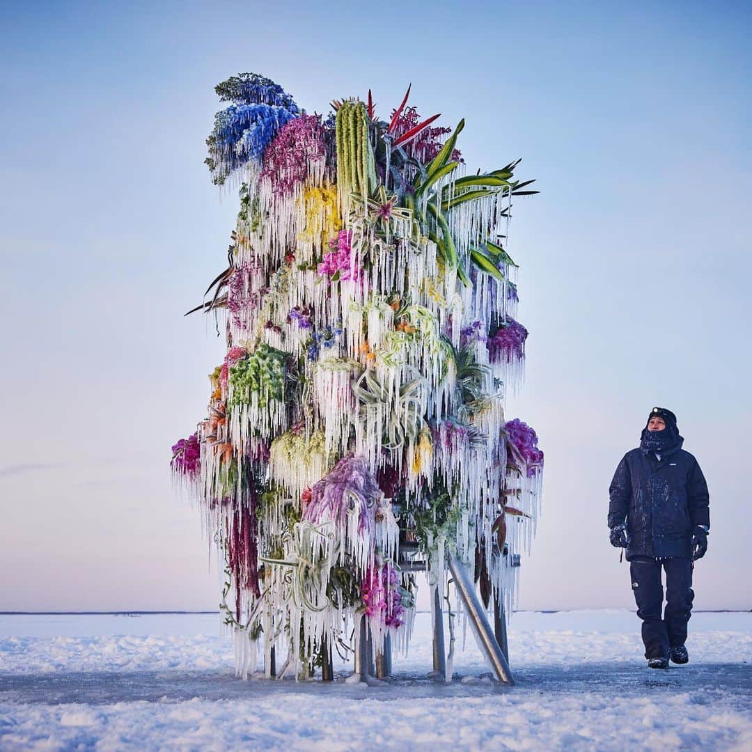 東信のインスタグラム：「Frozen Flowers (2023)  #azumamakoto #makotoazuma #shiinokishunsuke #amkk #amkkproject #botanicalsculpture #todowara #hokkaido #theendoftheworld #東信 #東信花樹研究所 #トドワラ #野付半島」