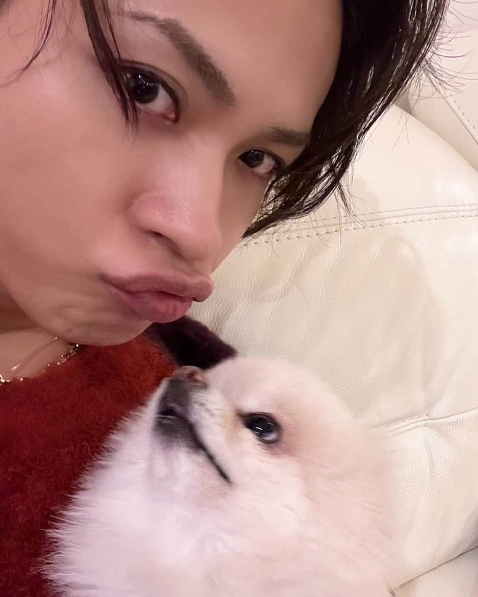 上田竜也さんのインスタグラム写真 - (上田竜也Instagram)「⠀  Happy Valentine's ！  My buddy Chibi and I made our debut together on Instagram！  よろしく！！  #バレンタイン #ジャニーズ #上田竜也」2月14日 12時00分 - tatsuya.ueda_kt