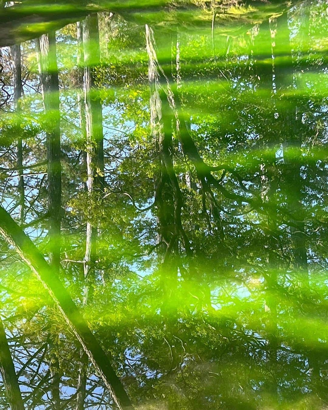 森星さんのインスタグラム写真 - (森星Instagram)「flow.  Koke temple @saihoji_daily   苔寺として親しまれていて、 世界遺産でもある、西芳寺。  静寂の中に、流れる生。 あらゆる足跡が共存する、 この流れに身を委ねていたい🦋」2月14日 12時12分 - hikari