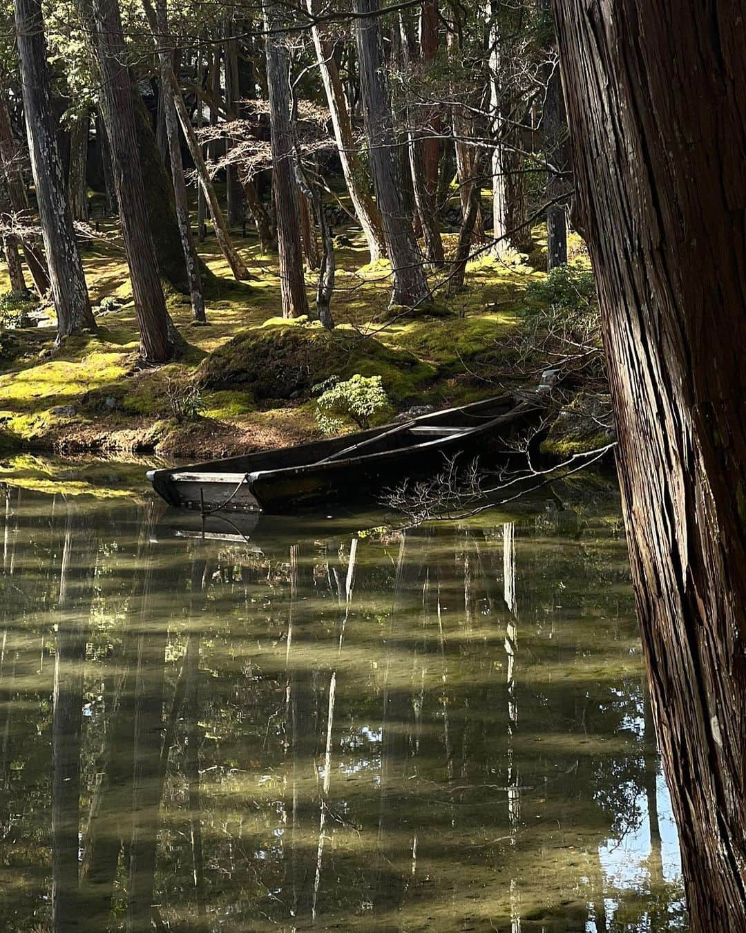 森星さんのインスタグラム写真 - (森星Instagram)「flow.  Koke temple @saihoji_daily   苔寺として親しまれていて、 世界遺産でもある、西芳寺。  静寂の中に、流れる生。 あらゆる足跡が共存する、 この流れに身を委ねていたい🦋」2月14日 12時12分 - hikari