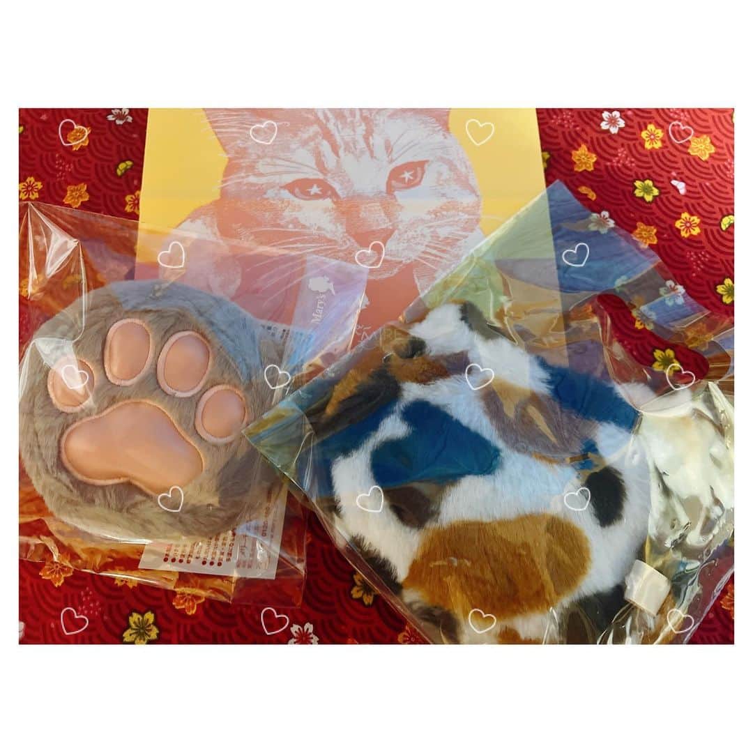 國分優香里のインスタグラム：「★ Happy Valentine's day！！💝  自分用に予約までして（笑）、 可愛いチョコを買いました😂💨  やはり猫が好きなのだ…🐈‍⬛  猫といえば先日… 巷で話題のお菓子【人間用猫カリカリ】を食べたのですが、、、  もんのッ凄い衝撃でした😇⚡️🐟（笑）  想像を超えた味だったので、皆様も是非チャレンジを…🤲  2月はにゃんにゃんにゃんの日もあるし、 いつも以上に猫で溢れるのでHappyです💓  猫とも仲良くなれると良いな😹  バレンタインの本日も、 皆様にとって素敵な①日となります様に🌈💓  いつも沢山の愛をありがとう😌💝  #バレンタイン　#バレンタインチョコ　#メリーチョコレート　#ねこみゃみれ　#ハッピーバレンタイン　#感謝を込めて」