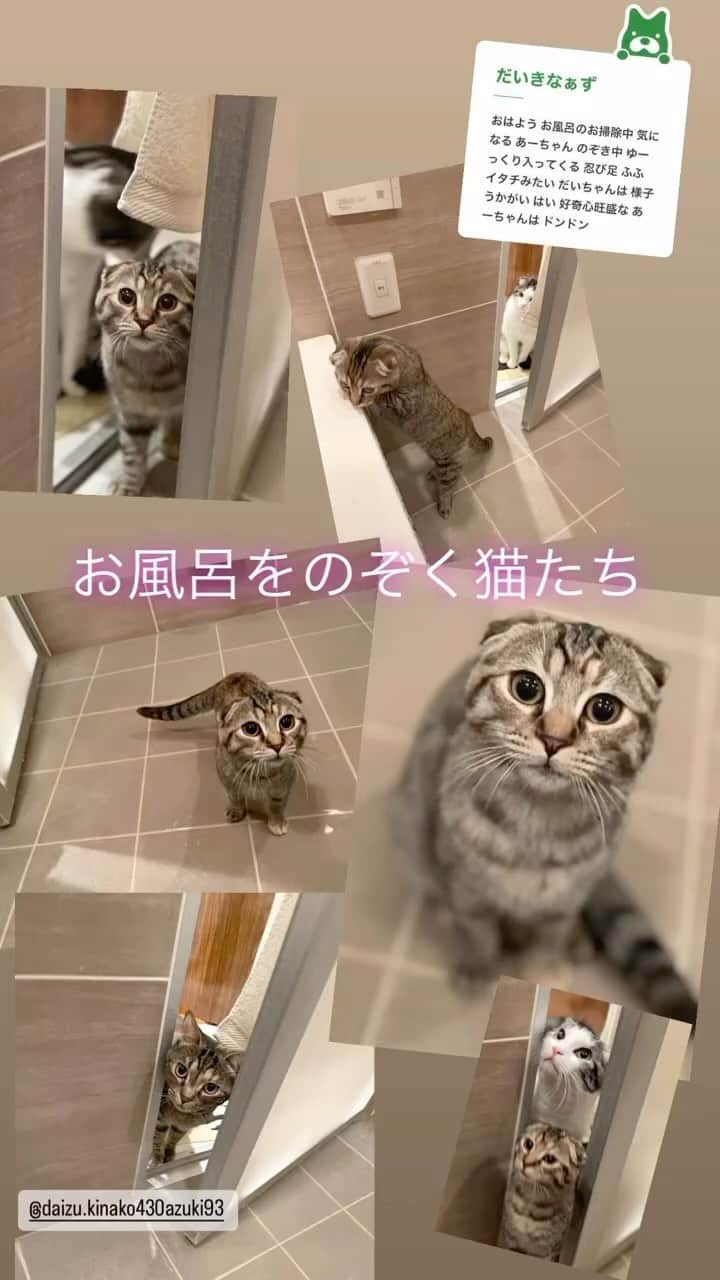 石原詢子のインスタグラム