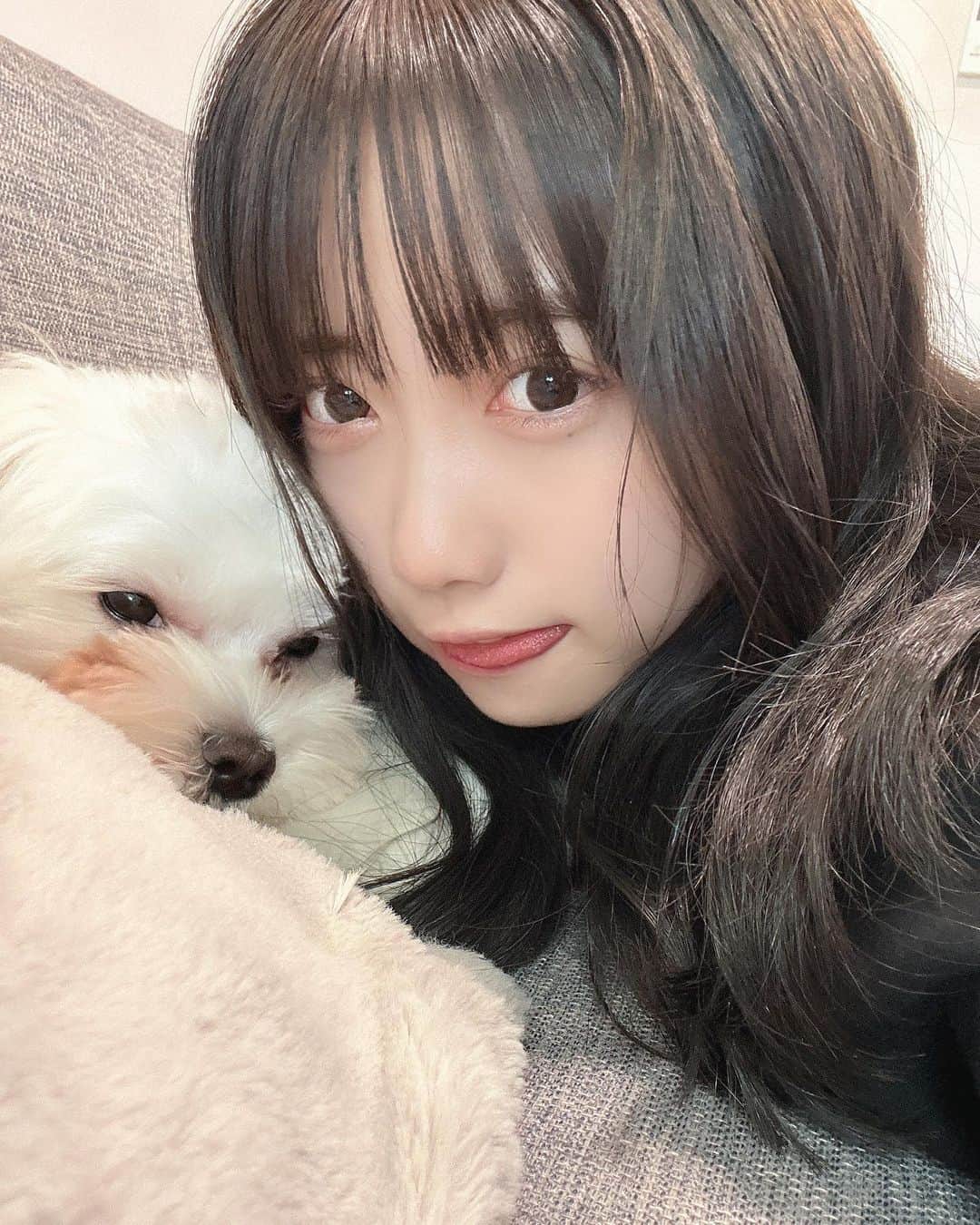 来栖りんのインスタグラム：「皆から写真載せてよ！！とお叱りをいただいたので今撮りました……すまない誠に」