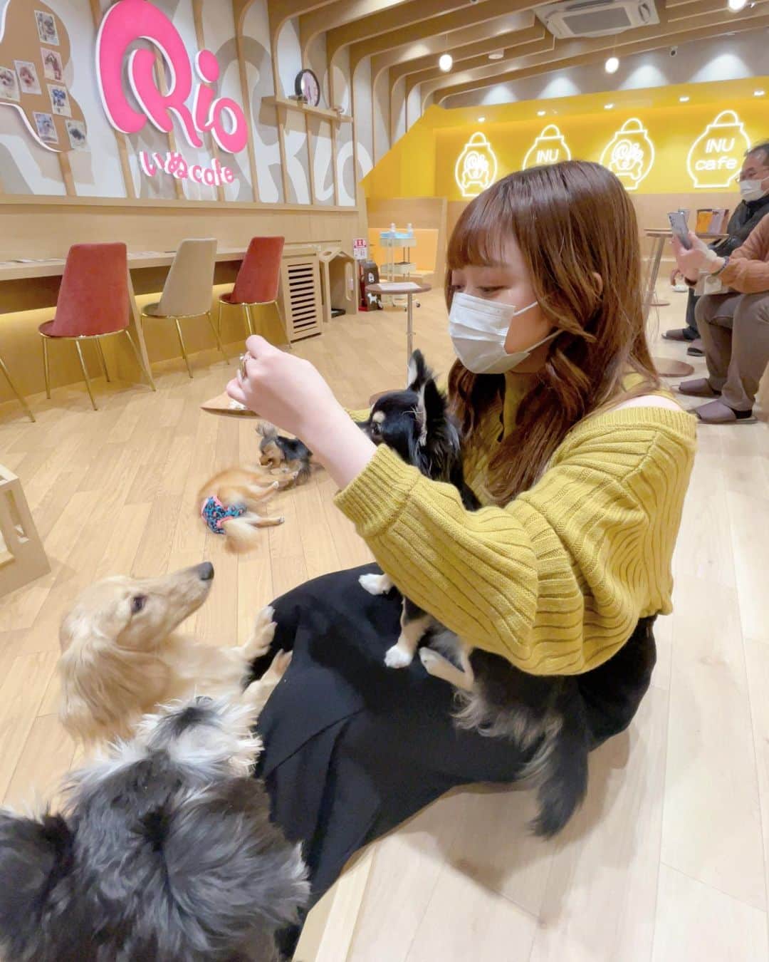 小澤しぇいんさんのインスタグラム写真 - (小澤しぇいんInstagram)「ハッピーバレンタイン💝  今年は何も作らずです！  この前久々にまきと会ってカフェとわんちゃんカフェ行って2人で浮気してきました🐶💕 やっぱチワワからモテるんです♡  あと誕生日プレゼントもらったの〜♡ パフュームバームすごく良い匂い💐  #バレンタイン#カフェ#カフェ巡り#犬カフェ#浅草カフェ」2月14日 16時47分 - 1217_shane