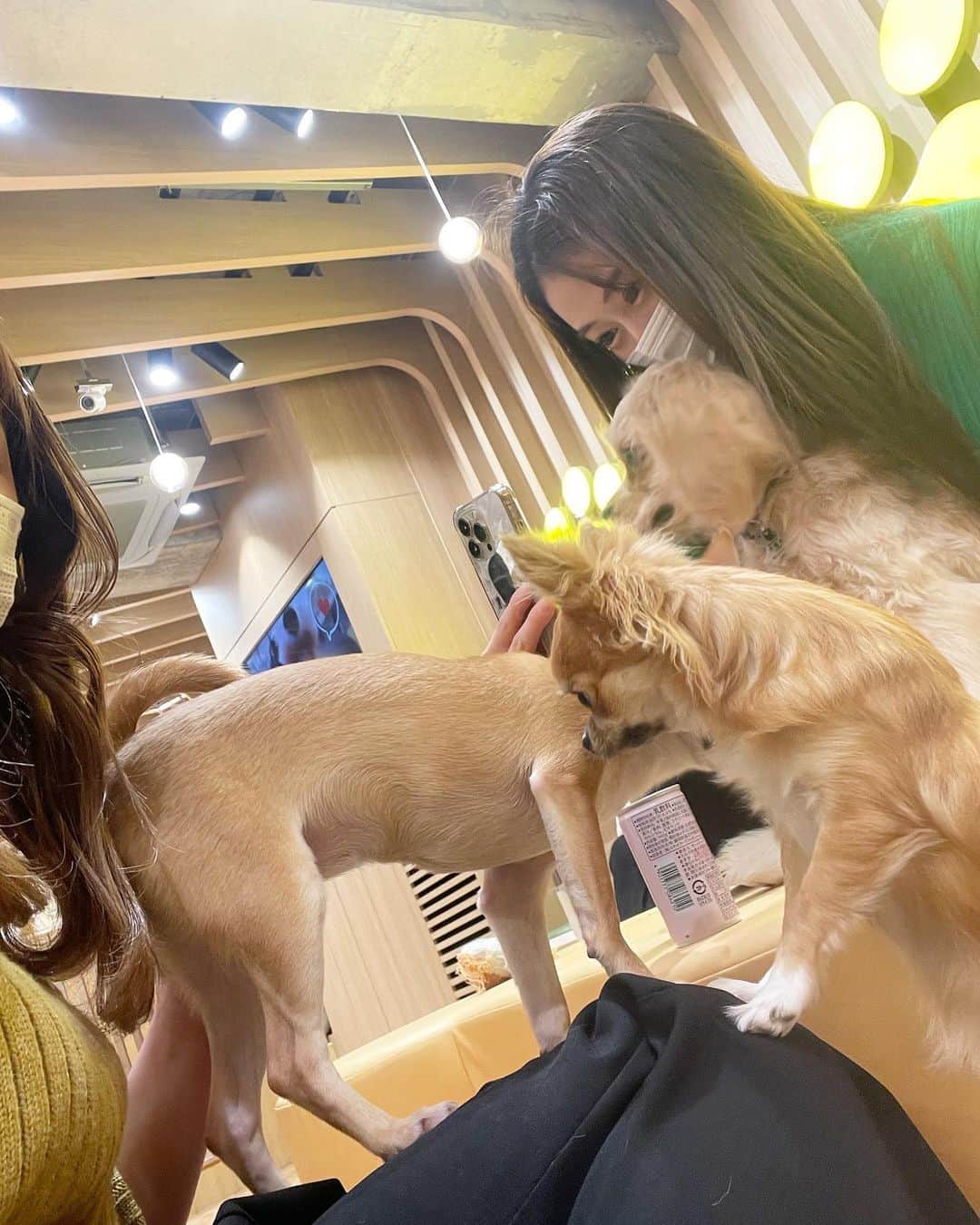小澤しぇいんさんのインスタグラム写真 - (小澤しぇいんInstagram)「ハッピーバレンタイン💝  今年は何も作らずです！  この前久々にまきと会ってカフェとわんちゃんカフェ行って2人で浮気してきました🐶💕 やっぱチワワからモテるんです♡  あと誕生日プレゼントもらったの〜♡ パフュームバームすごく良い匂い💐  #バレンタイン#カフェ#カフェ巡り#犬カフェ#浅草カフェ」2月14日 16時47分 - 1217_shane