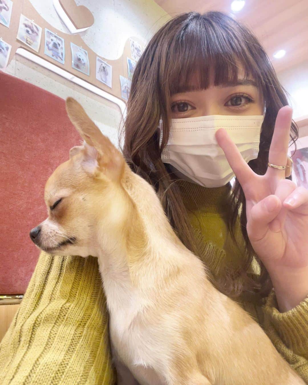 小澤しぇいんさんのインスタグラム写真 - (小澤しぇいんInstagram)「ハッピーバレンタイン💝  今年は何も作らずです！  この前久々にまきと会ってカフェとわんちゃんカフェ行って2人で浮気してきました🐶💕 やっぱチワワからモテるんです♡  あと誕生日プレゼントもらったの〜♡ パフュームバームすごく良い匂い💐  #バレンタイン#カフェ#カフェ巡り#犬カフェ#浅草カフェ」2月14日 16時47分 - 1217_shane