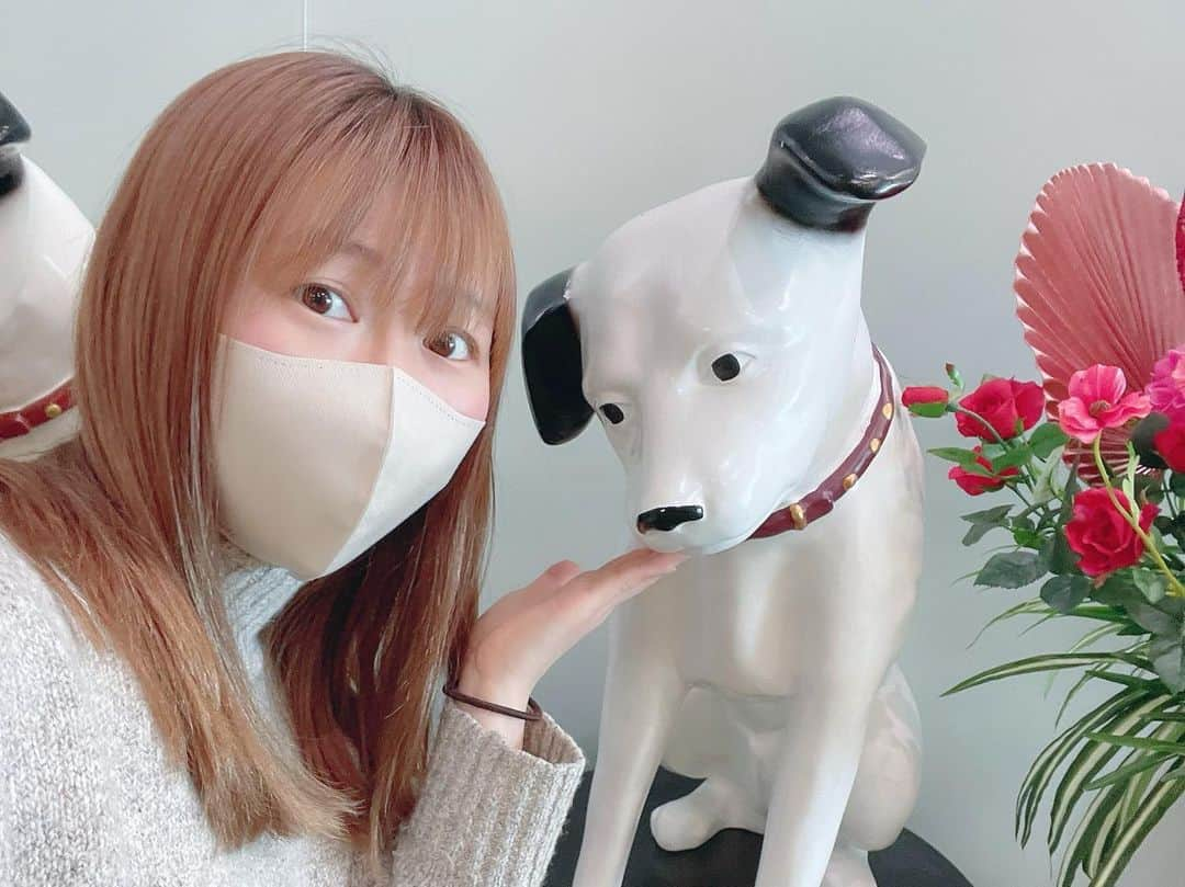 安野希世乃さんのインスタグラム写真 - (安野希世乃Instagram)「💝 ハッピーバレンタイン🐶💐」2月14日 17時23分 - kiyonon_at_home