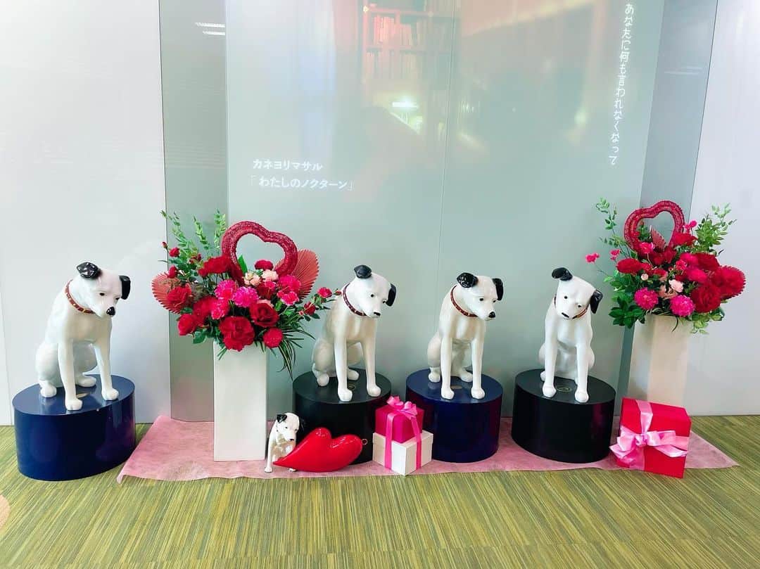 安野希世乃のインスタグラム：「💝 ハッピーバレンタイン🐶💐」