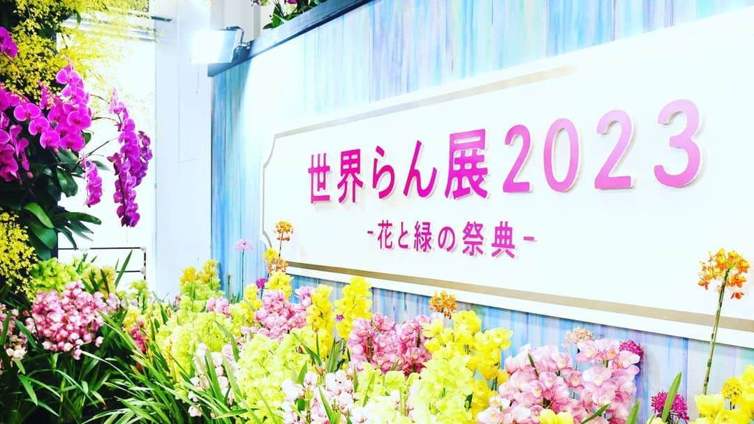 世界らん展日本大賞のインスタグラム：「【世界らん展2023 閉幕】  世界らん展2023はおかげさまでご好評のうちに閉幕しました。お越しくださった皆さま、出店・出品くださった皆さま、ありがとうございました！ 昨年を上回る多くの皆さまにご来場頂き、心から感謝しております。  世界らん展でまたお会いできることを楽しみにしています。  #世界らん展2023 #世界らん展」