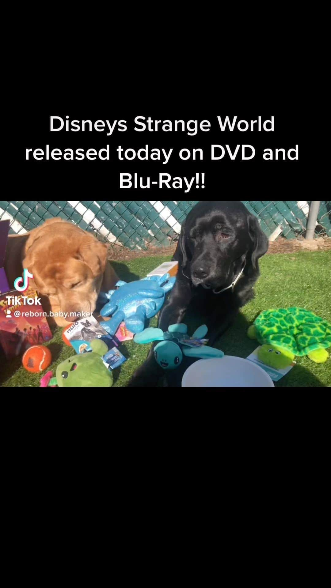 Jake And Gingerのインスタグラム：「Disney’s Strange World released today on dvd and Blu-ray!! Such an awesome movie! ❤️ @barkbox @bark @strangeworld」