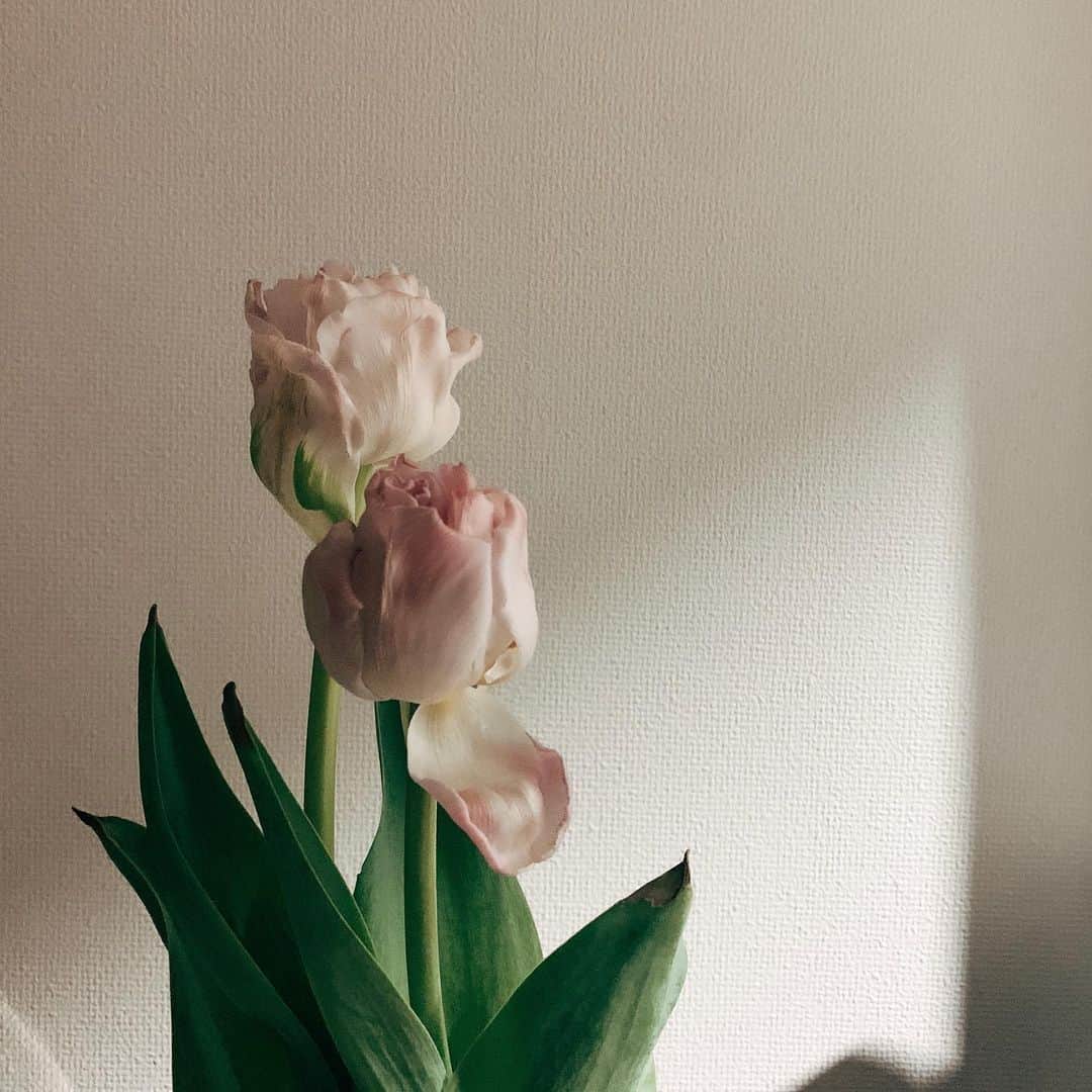 のインスタグラム：「♪ 時の流れに身をまかせ」