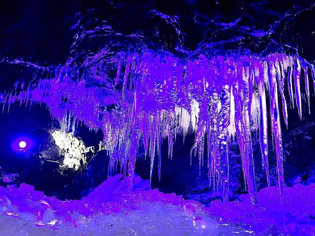 渋木美沙さんのインスタグラム写真 - (渋木美沙Instagram)「@fujikan0  行ってきたー🥰 氷の洞窟って初めて行ったけど 幻想的すぎて非現実的な空間でした！！！ 自然で作られた大きい氷柱なども身近で見て圧巻でした😍✨✨✨  中に小さな神社があったり スポットもたくさんあって楽しめた🥰  洞窟の中は狭いところもあり かがみながら歩くのもまた楽しいw  PR #富士急 #富士急ハイランド」2月14日 21時33分 - shibuki_misa08