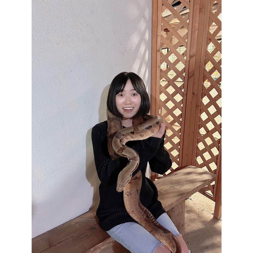 秋乃ゆにのインスタグラム