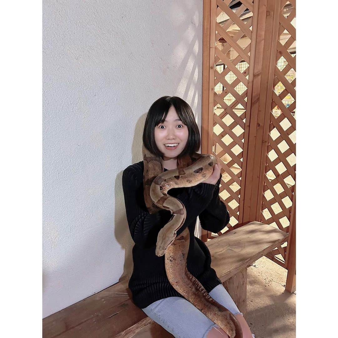 秋乃ゆにさんのインスタグラム写真 - (秋乃ゆにInstagram)「ハッピーバレンタイン！ 蛇を首に巻いたよ🐍  #valentine #valentines #ベビスタグラム #🐍 #snake」2月14日 22時51分 - yuniakino