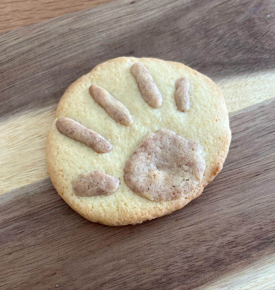 黒川芽以さんのインスタグラム写真 - (黒川芽以Instagram)「happy Valentine♡  お久しぶりです。  料理はやるけど、お菓子作りは苦手ですw 目分量が好きなんです。  でも珍しくクッキーなんぞ作りました。下の子の手形クッキー。 押しただけだと、なかなか分かりづらいみたいなので、手形をぎゅぎゅっとしたあとに、へこみにココアを混ぜた生地をのせてみました。かわいい。  2枚目は、その他色々動物とか、あの方とか。ヘタ可愛い感じになった！と思っている！  型抜きもしたけど、型抜きじゃないパターンも、やっているうちに意外に楽しくなっちゃって、色々やってみちゃいました。  みなさんは、どんな1日でしたか？  今日もおやすみなさい🌙」2月14日 22時52分 - mei_kurokawa