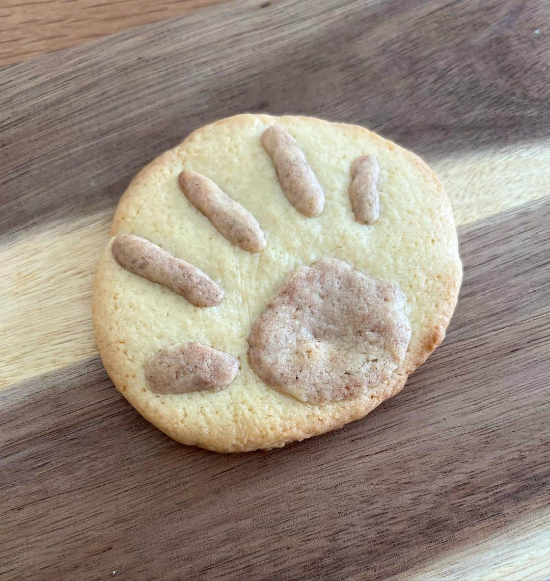 黒川芽以のインスタグラム：「happy Valentine♡  お久しぶりです。  料理はやるけど、お菓子作りは苦手ですw 目分量が好きなんです。  でも珍しくクッキーなんぞ作りました。下の子の手形クッキー。 押しただけだと、なかなか分かりづらいみたいなので、手形をぎゅぎゅっとしたあとに、へこみにココアを混ぜた生地をのせてみました。かわいい。  2枚目は、その他色々動物とか、あの方とか。ヘタ可愛い感じになった！と思っている！  型抜きもしたけど、型抜きじゃないパターンも、やっているうちに意外に楽しくなっちゃって、色々やってみちゃいました。  みなさんは、どんな1日でしたか？  今日もおやすみなさい🌙」