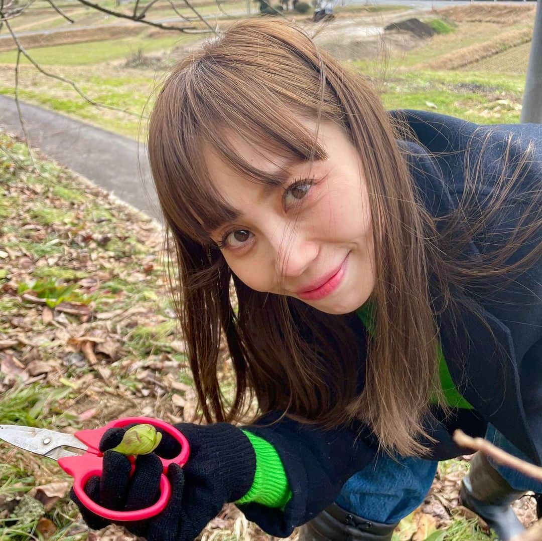 澤辺美香のインスタグラム：「初めてのふきのとう狩り♡  今日は一段と寒かったですね、、、  明日も寒いみたいですので、どうか暖かく過ごして下さい！  #島根県#山菜採り」