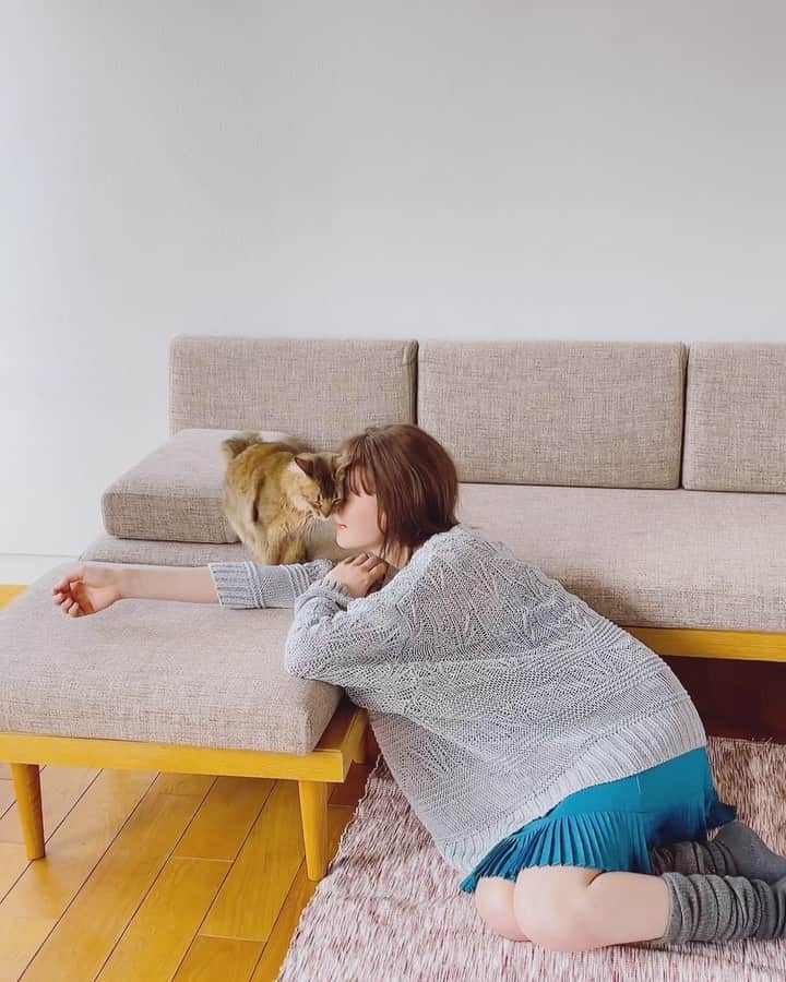 トリンドル玲奈のインスタグラム：「ツンデレがたまらない。。🐈  一瞬で虜になりました。  @madream_webmagazine にてぜひご覧にください♡  最後の写真は寝たふりしてみた🐈‍⬛なんて☺️」