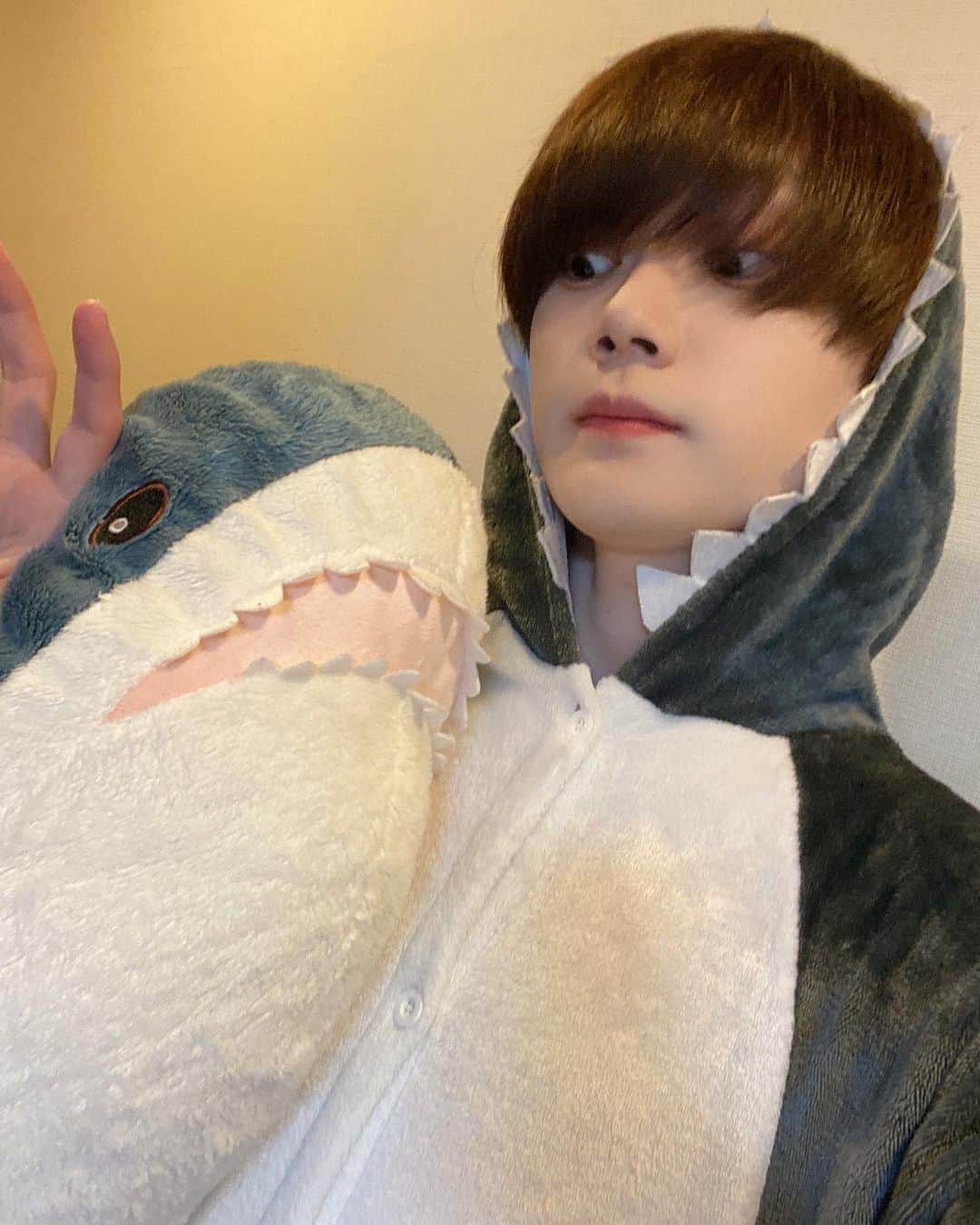 そらびびさんのインスタグラム写真 - (そらびびInstagram)「22歳、バレンタインに1人寂しくサメの着ぐるみを着る。  #バレンタイン #サメ」2月14日 23時30分 - soravvn