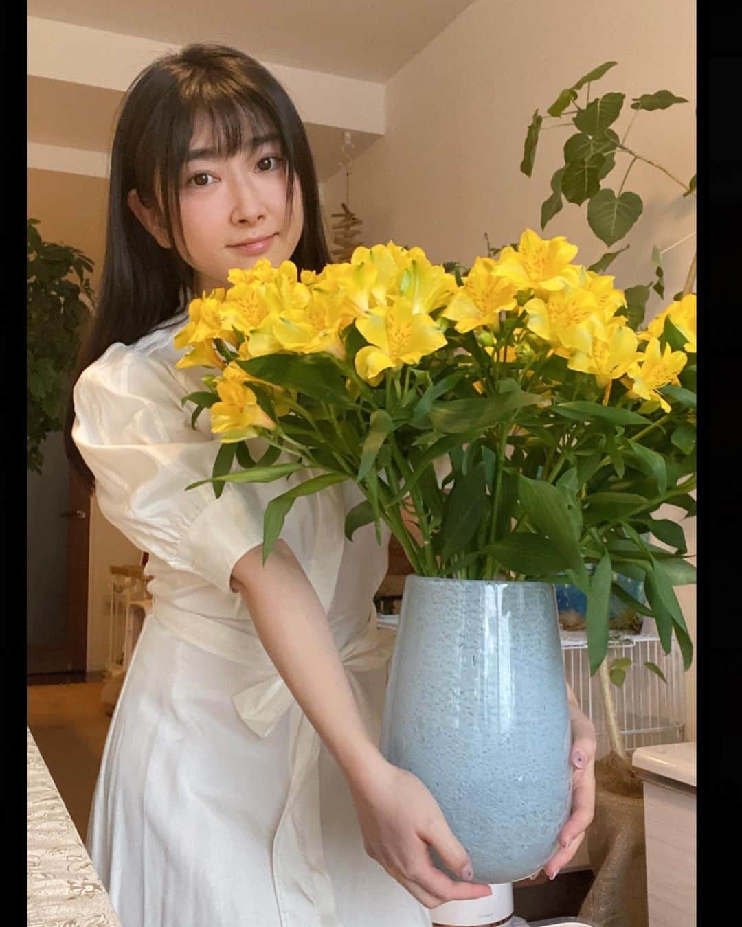 加藤圭のインスタグラム：「#アルストロメリア という花 .* ⚘  1年を通して花屋に出回っているそうで、 白、赤、ピンク、黄などの色があって 黄色のアルストロメリアを束で買いました＾＾  西麻布にある 花屋という名前のお店で、 これだけの量で2千円ちょっとで 安く新鮮なお花買えました✨  束で沢山の花を買いたい時 おすすめです.*⸜ ·͜· ⸝*.  pic2の 右の大きい木は #エバーフレッシュ 🌳 と 手前のは #宇宙の木ゴーラム  #ピレアグラウカ  と、長いアスパラみたいなのは なんていう名前だったか思いだせない (･･、) ☘ ̖́-  花粉を1本1本とって生けると 後から花粉が落ちてきて大変なことにならずに、後、長持ちするみたいです🌼*･  1か月くらいもってほしいなぁ > ̫ <;  それでは また  .* ⚘  ✿.•¨•.¸¸.•¨•.¸¸❀✿❀.•¨•.¸¸.•¨•.✿  #大きい木ほしい #花のある暮らし #花 #花束 #flowers #girl #観葉植物のある暮らし #観葉植物すきな人と繋がりたい #photo #nature #love #エバーフレッシュ」