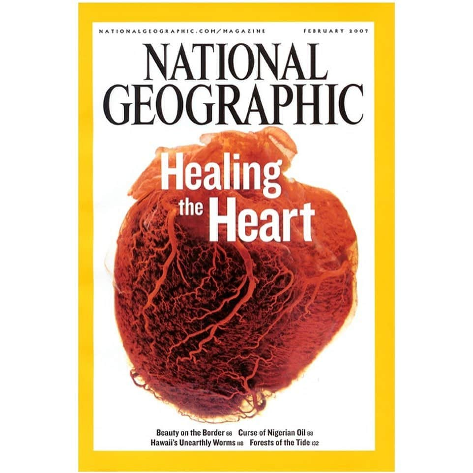 Robert Clarkさんのインスタグラム写真 - (Robert ClarkInstagram)「I few years back I had the opportunity to work on a story for @natgeo on Healing the Human Heart. While working with the uncompromising @kurtmutchler, my editor on the story, we located a human heart stored in a glass jar at the @muttermuseum in Philadelphia, Pa. Thinking that this could make a good cover for the magazine, I went and shot the heart with a few different looks. The ancient Greeks believed that the center of love & emotion was the liver, I am not sure if it is the heart liver or brain, I’m not sure of any of that, but I do know that the heart made an elegant cover for our story. Happy Valentine’s Day.」2月15日 3時09分 - robertclarkphoto