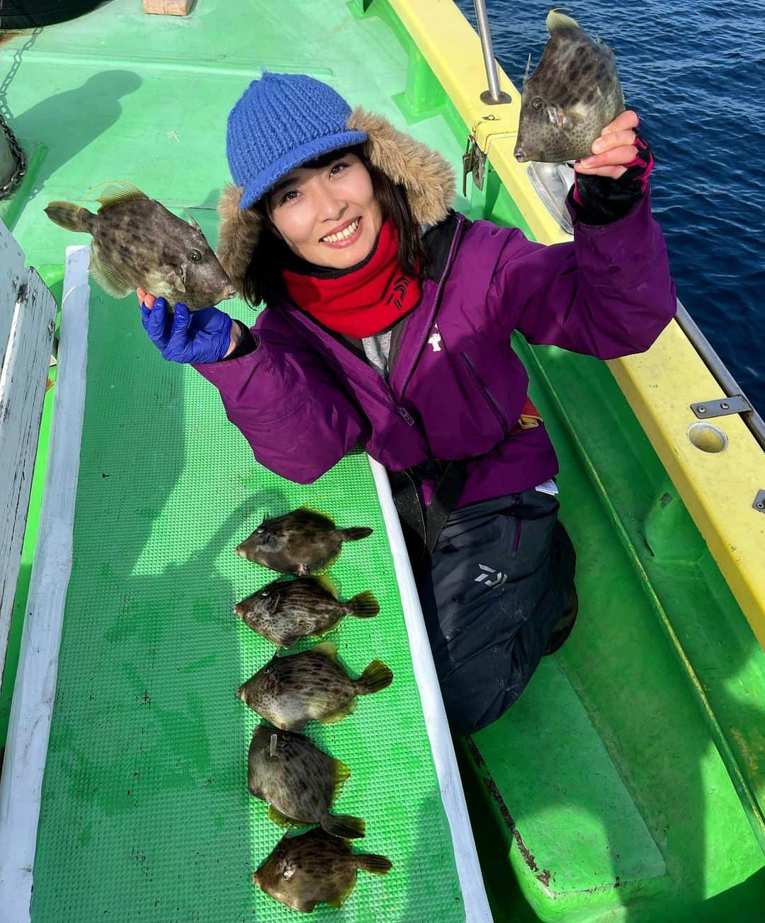 川目梢さんのインスタグラム写真 - (川目梢Instagram)「厳しい終盤戦ではありますが カワハギさん お元気でした🙋‍♀️どーも  安定のマルキユー「バクバクソルト」 揉み込んで 反応ばっちし  何より 私が嬉しかったのは お腹を見て うんうん。 納得の腹パンでした‼︎  『新修丸』さんでは あと10日ほどでカワハギ終わります 釣りたい方は お急ぎを🏃‍♀️💨💨💨  #新修丸 #釣り #釣りガール #釣り好きな人と繋がりたい #釣り好きな人と繋がりたい #釣り女子 #釣りスタグラム #釣りバカ #カワハギ #カワハギ釣り」2月15日 14時36分 - kozukozu0615