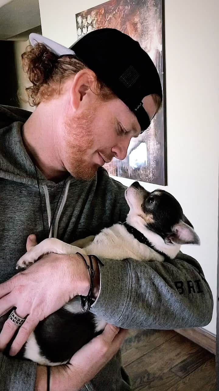 ヒンダーのインスタグラム：「Happy Valentine’s Day, amirite? 🐶  #valentines #hinder #puppy」