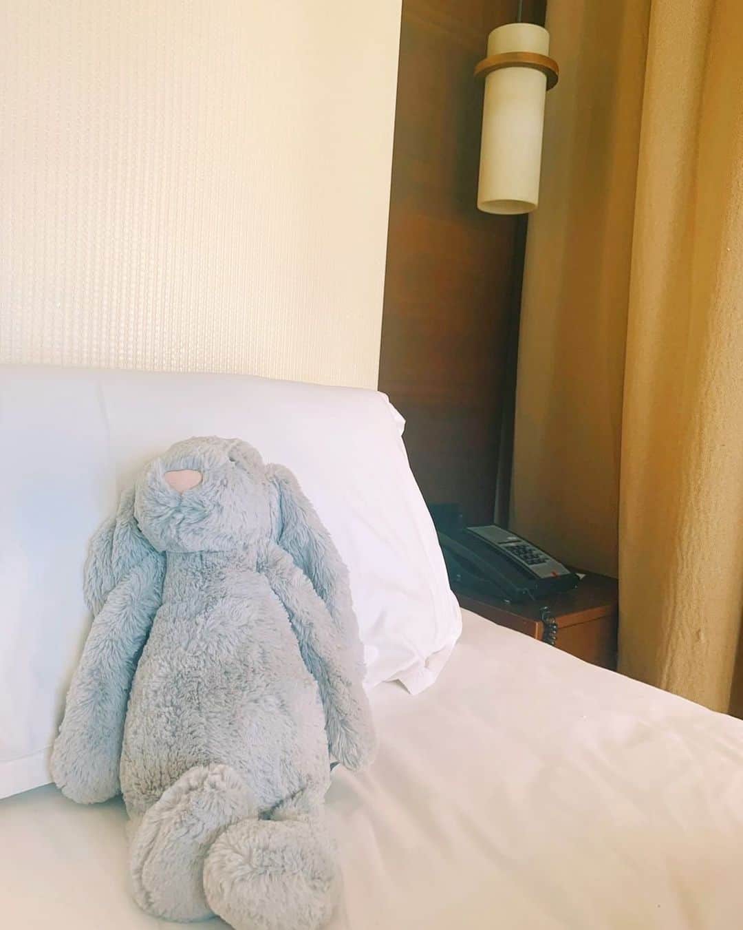 静麻波のインスタグラム：「ご報告🐰 私事ではございますが、この度お腹の中に新しい命を授かることができました。新たに家族を迎えられることを夫婦共々喜んでおります。  日頃から応援してくださっている皆様、仕事関係でご理解ご協力をいただいている皆様に心より感謝申し上げます。  大切な時期ですので、あたたかく見守っていただけましたら幸いです。 今後とも宜しくお願い申し上げます。  武田真治　静まなみ　🐰」