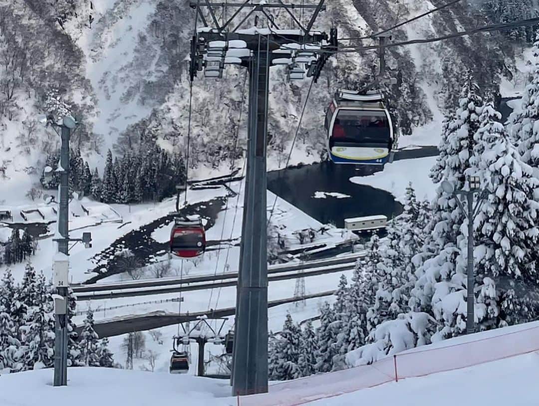 岡本沙紀さんのインスタグラム写真 - (岡本沙紀Instagram)「Hei!🇳🇴  今日の挨拶はノルウェー語です☃️ スキーという言葉は、ノルウェー語の「薄い板」とい う意味の言葉に由来するそうです🌲  今日の写真は、以前スキーをしたときのものです。ガーラ湯沢は新幹線駅と繋がっている施設で、ロープウェイに新幹線色の塗装がされていたり、Suica決済でペンギングッズがもらえたりとJR色が強くて楽しかったです🐧💙  マスカラは雪をイメージして白いものにしました❄️  10年ぶりくらいで何度も転んでしまったのですが、それくらい全力で楽しんできました💞 また行きたいな〜  Today's greeting is in Norwegian☃️ The word "ski" comes from a Norwegian word meaning "thin plate" .  Today's photo is from a previous ski trip. GALA Yuzawa is connected to the bullet train station, and it was fun to see the ropeways painted in Shinkansen colors, and to get penguin goods with IC card character🐧💙  The bento is my favorite one that has analog switch to warm itself 🧖‍♀️  I fell down again and again as it’s been almost a decade since my last time. Doesn’t that how much I enjoyed it? 😂💞 I really hope to go once more until this season ends!  #ガーラ湯沢 #スキー #英語学習 #japanesegirl #japaneselearning  #japantravel  #japanesefood  #japanesebento #skincare」2月15日 14時21分 - okamoto_sa_ki