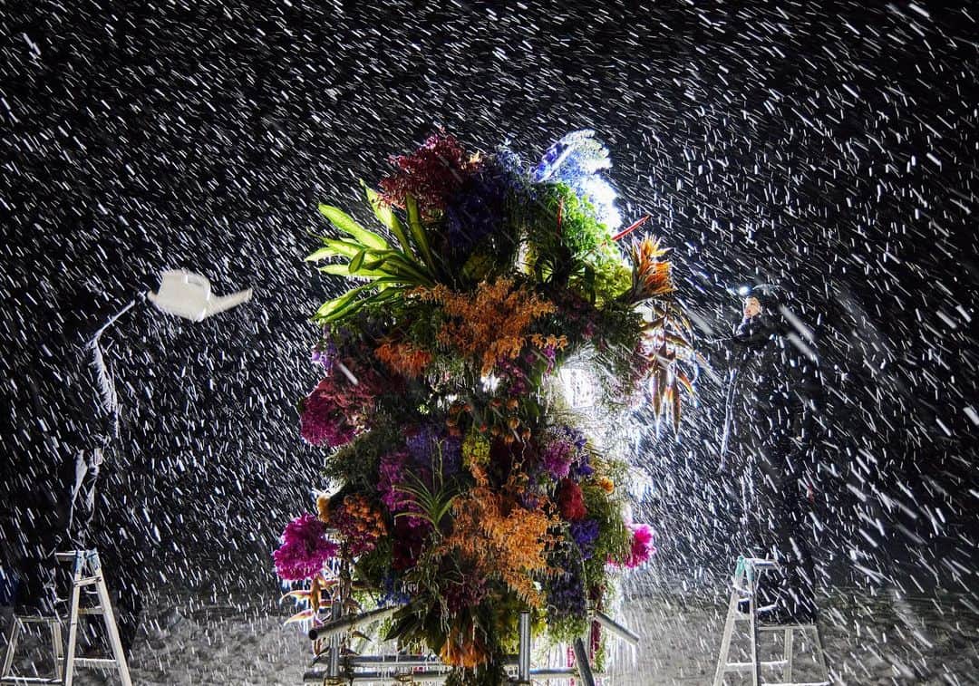 東信のインスタグラム：「Frozen Flowers (2023)  #azumamakoto #makotoazuma #shiinokishunsuke #amkk #amkkproject #botanicalsculpture #todowara #hokkaido #theendoftheworld #東信 #東信花樹研究所 #トドワラ #野付半島」