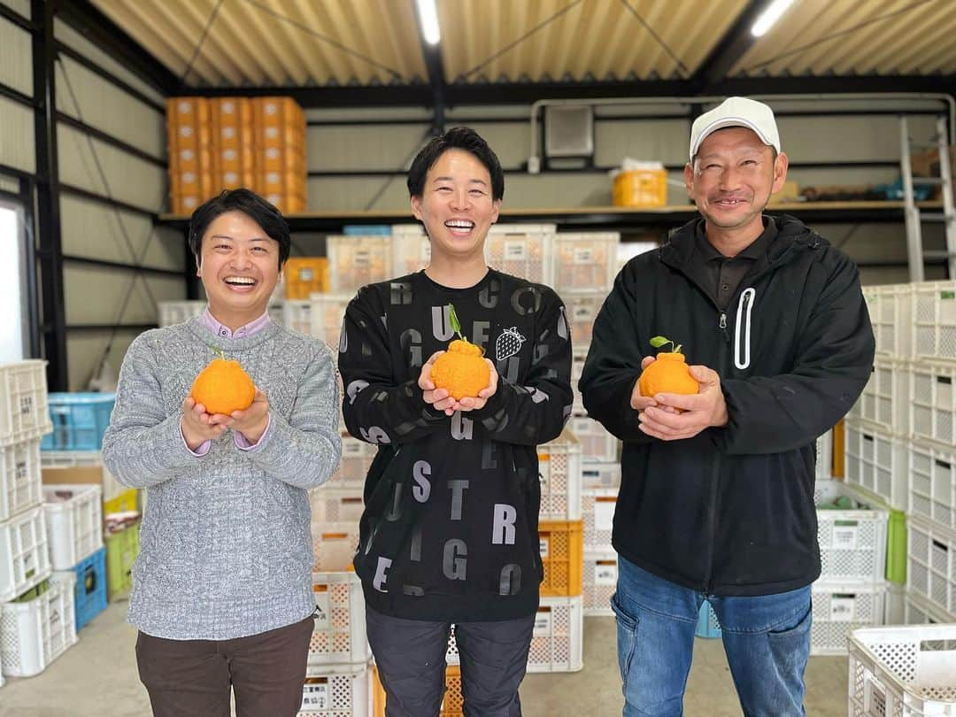 鈴木康一郎さんのインスタグラム写真 - (鈴木康一郎Instagram)「ダイワスーパーの大山社長を取材！  フルーツサンドブームを牽引してきた、 ダイワスーパーさん！ @358daiwa   新たな商品を開発したとのことを聞きつけ、 取材させていただくことに🙆‍♂️  訪れたのは、 ミカン農家の仲森さん。  黒い斑点やいびつな形のものは 出荷できないんだそう…。  そんな出荷が叶わなかった果物を使って、 より長く楽しんでもらえる 新たな商品が開発されました！  それは一体？！  2月16日の「キャッチ！」ぜひご覧ください！🙇‍♂️  #ダイワスーパー #捨てるをなくす #マクアケ #しらぬい」2月15日 9時30分 - suzuki_ko1ro