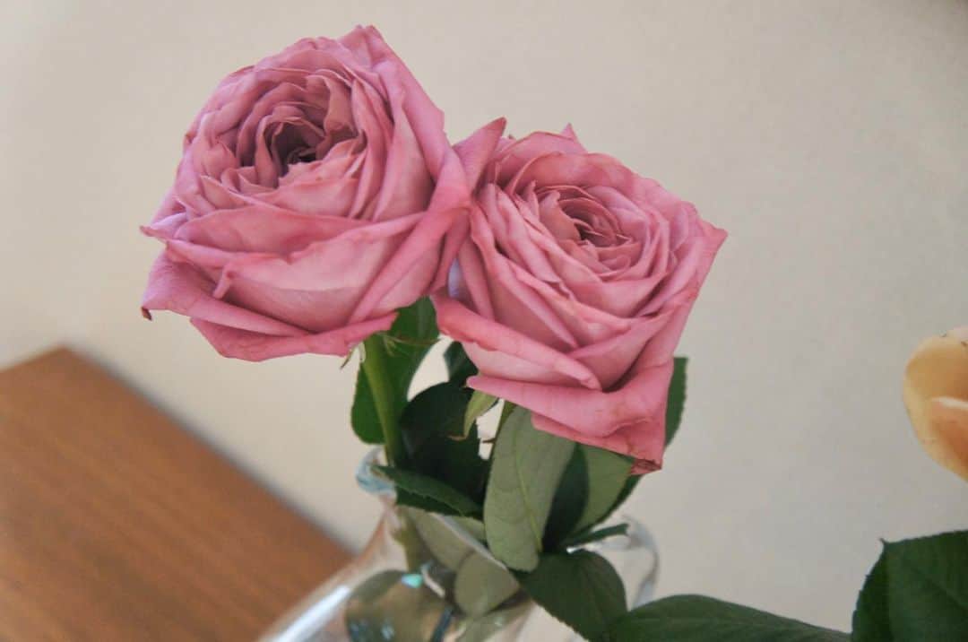 池上真麻さんのインスタグラム写真 - (池上真麻Instagram)「昨晩、旦那さんからバレンタインでもらったお花。大輪のピンクは娘たちに。生花の香り、いいな〜❤️ . ちらっと見える、　@keiko_phyto が調合してくれるルームスプレー、今年も母の日にご用意します！  . 花瓶は割れない花瓶シリーズ。地震で倒れても割れない安心感。 . #サロンドール #花のある暮らし #インテリア #花瓶」2月15日 10時03分 - marsaikegami