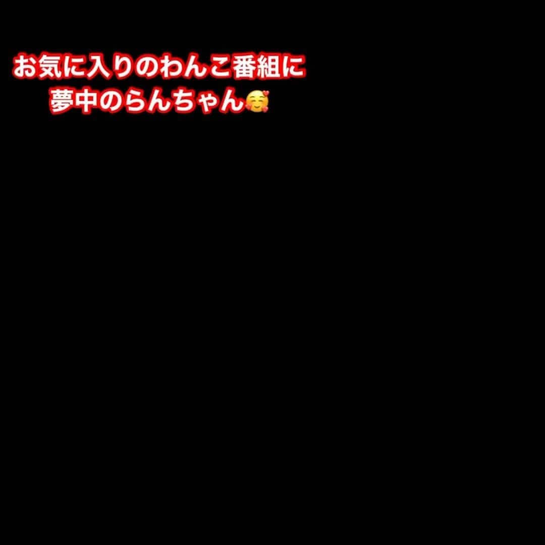 富士川碧砂のインスタグラム