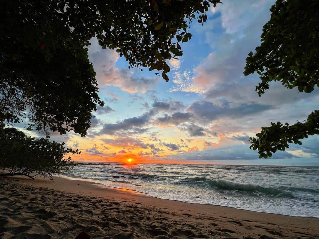 ルーファス・テイラーのインスタグラム：「Pura Vida Costa Rica 👌🏼」