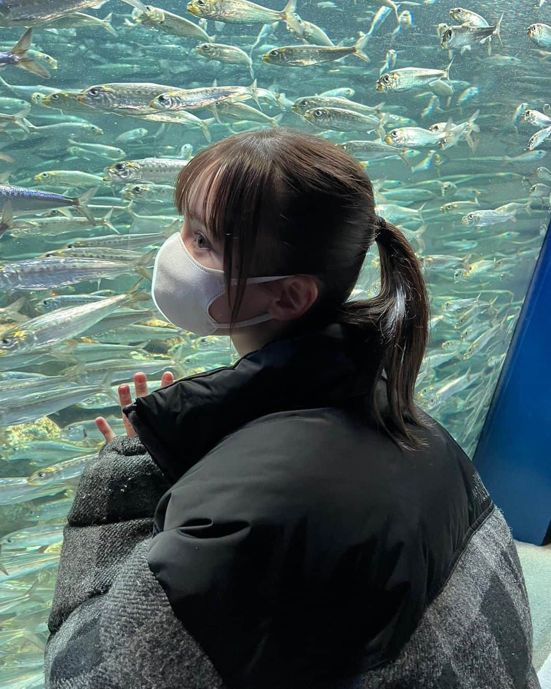 神谷侑理愛のインスタグラム：「お魚沢山°･🐠かわいい🫂 ⁡ サンシャイン水族館行った時の🐳💕 ⁡ でも水族館とアクアリウムって何が違うのー？？ ⁡ ⁡ #サンシャイン水族館 #池袋 #水族館 #アクアリウム #ポニーテール #ヘアアレンジ #ミディアム」