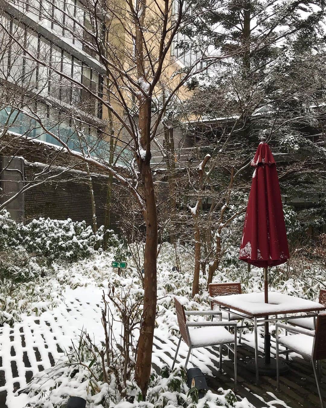 ハイアット リージェンシー 箱根 リゾート＆スパさんのインスタグラム写真 - (ハイアット リージェンシー 箱根 リゾート＆スパInstagram)「雪のハイアット箱根。ホテルの窓から見える”大文字”も雪景色❄️リビングルームの中庭も雪景色です。⁣⁣ ⁣⁣ ※最新の天候の情報はホテル迄直接お電話でお問い合わせください。⁣⁣ ⁣⁣ #hakone #箱根 #mountains #ホテル #リゾートホテル #日本 #japan #温泉#onsen #onsen♨️ #resort #luxury #hyattregencyhakone #ハイアットリージェンシー箱根 #hyatt #ハイアット #hyattregency #worldofhyatt #リビングルーム #箱根の我が家 #箱根大文字 #雪景色」2月15日 16時52分 - hyattregencyhakone