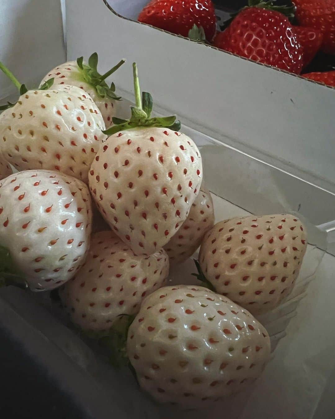 島居玲子のインスタグラム：「⚪️🍓」