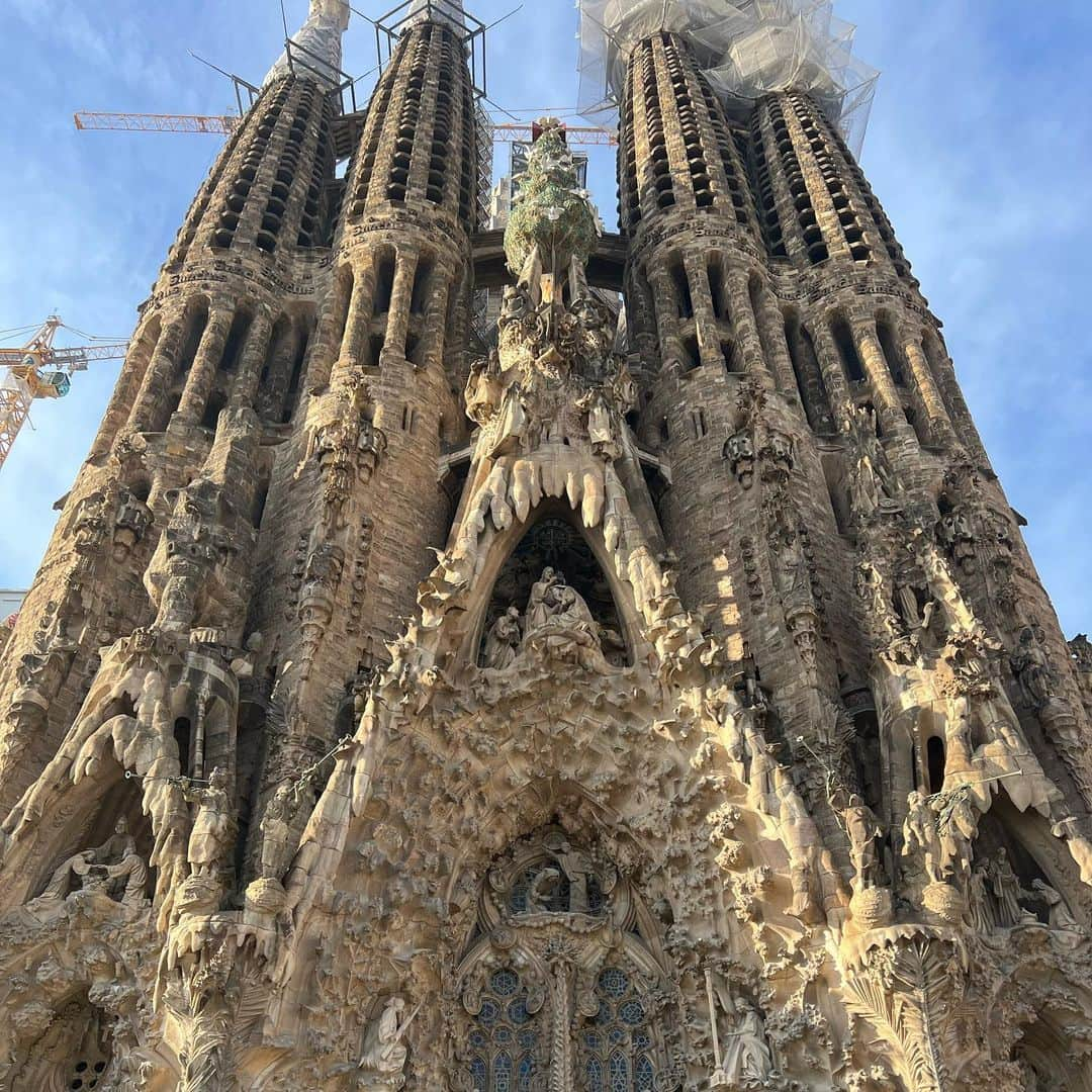 ティモシー・ドレンスキーさんのインスタグラム写真 - (ティモシー・ドレンスキーInstagram)「Light and stone. 🙏」2月15日 21時06分 - timtastic92