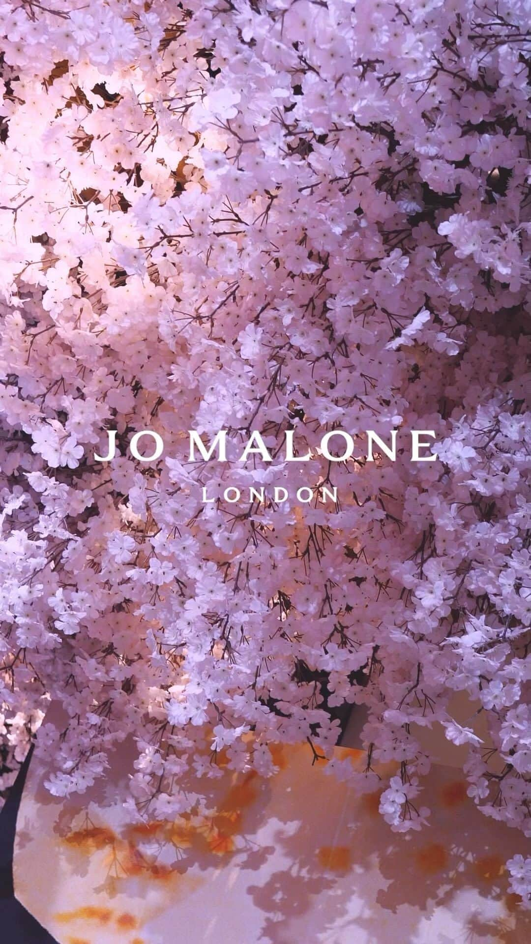 桐山えりなのインスタグラム：「Brand: @jomalonelondon  Event: Ohanami Celebration @Tokyo/Japan Casting: @almostjp_inc   #jomalonelondon #japan #tokyo #pafum」