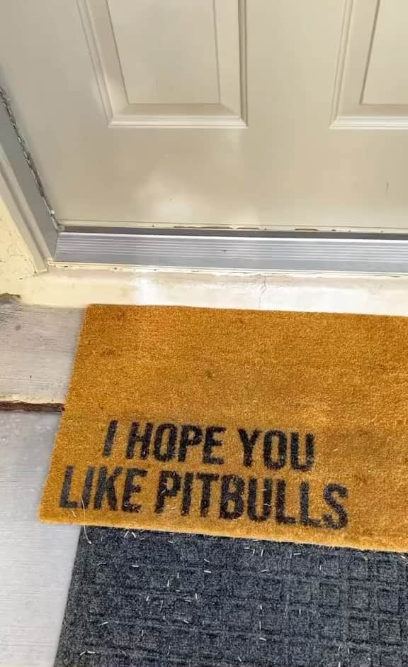 Pit Bull - Fansのインスタグラム：「🤔😍 - @knight_thepit」