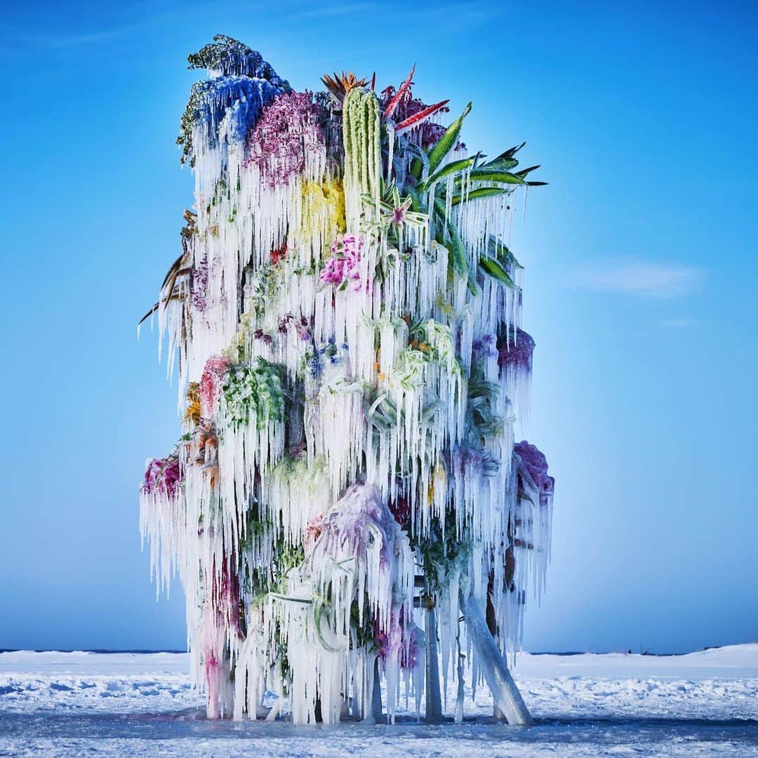 東信のインスタグラム：「Frozen Flowers (2023)  #azumamakoto #makotoazuma #shiinokishunsuke #amkk #amkkproject #botanicalsculpture #todowara #hokkaido #theendoftheworld #東信 #東信花樹研究所 #トドワラ #野付半島」