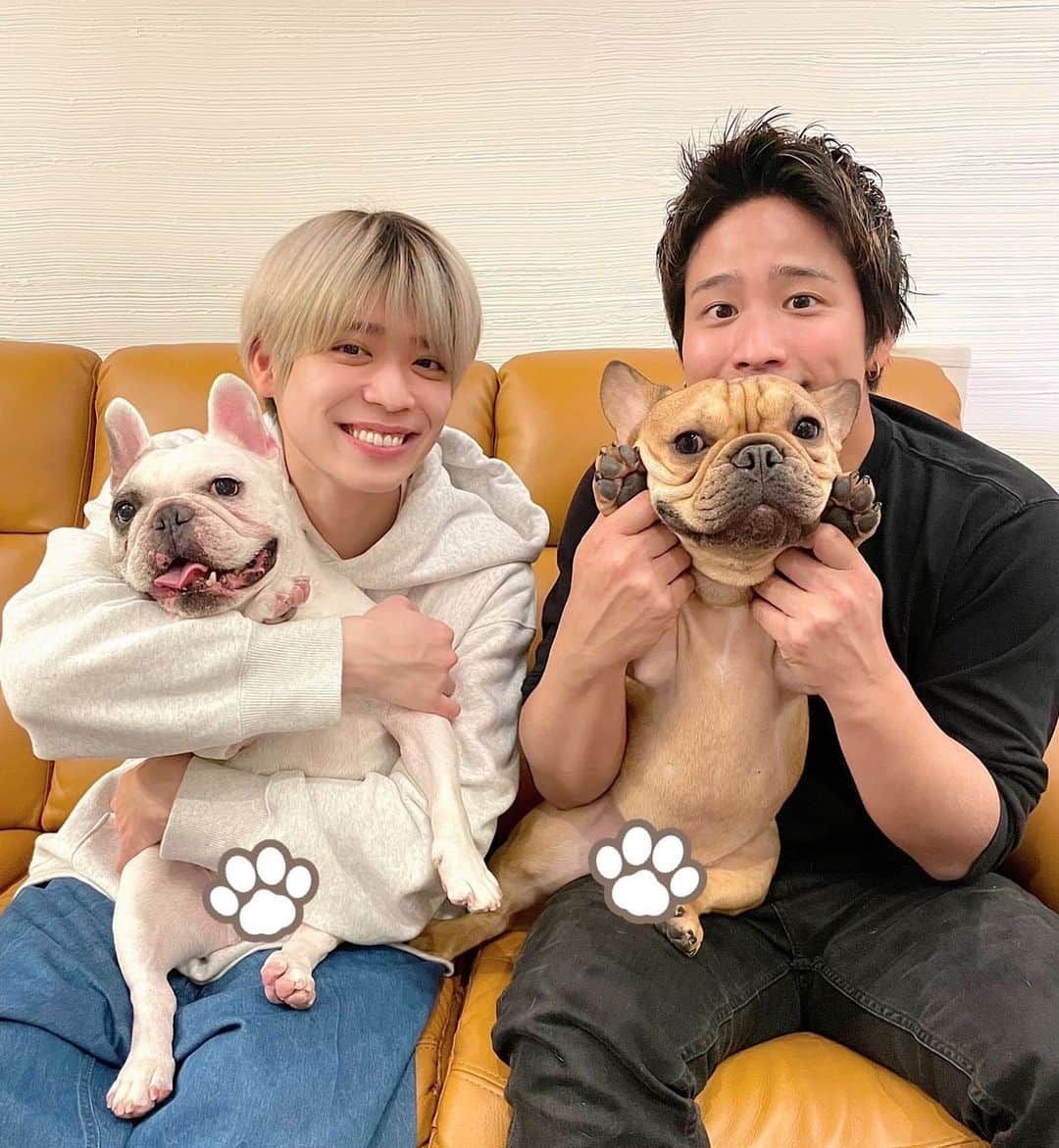 のインスタグラム：「⁡ ⁡ 元気がほしいなぁ… ⁡ そんな時に必ず明るさをくれるのが照にぃ。 ⁡ いつもありがとうございます。 ⁡ by そー ⁡ #フレブル会 #ビスが1番年上 #なのに1番はしゃぐから、ゴーヤー氏とシーサー氏が引き気味。 #でも最終的にビス氏はゴーヤー氏とマブダチになったよ #あれ…シーサーは…（笑）」