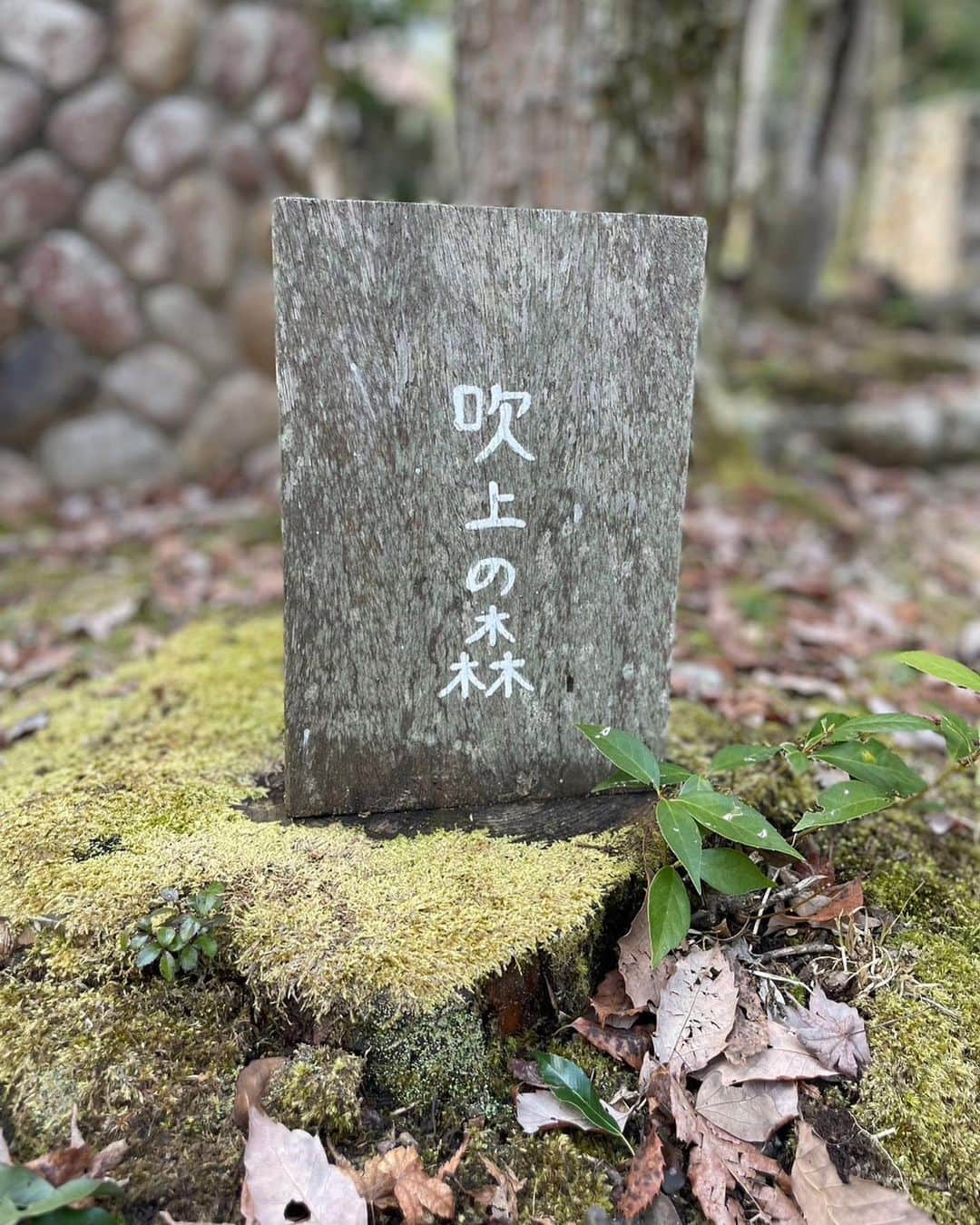 近藤魁成のグルメインスタ