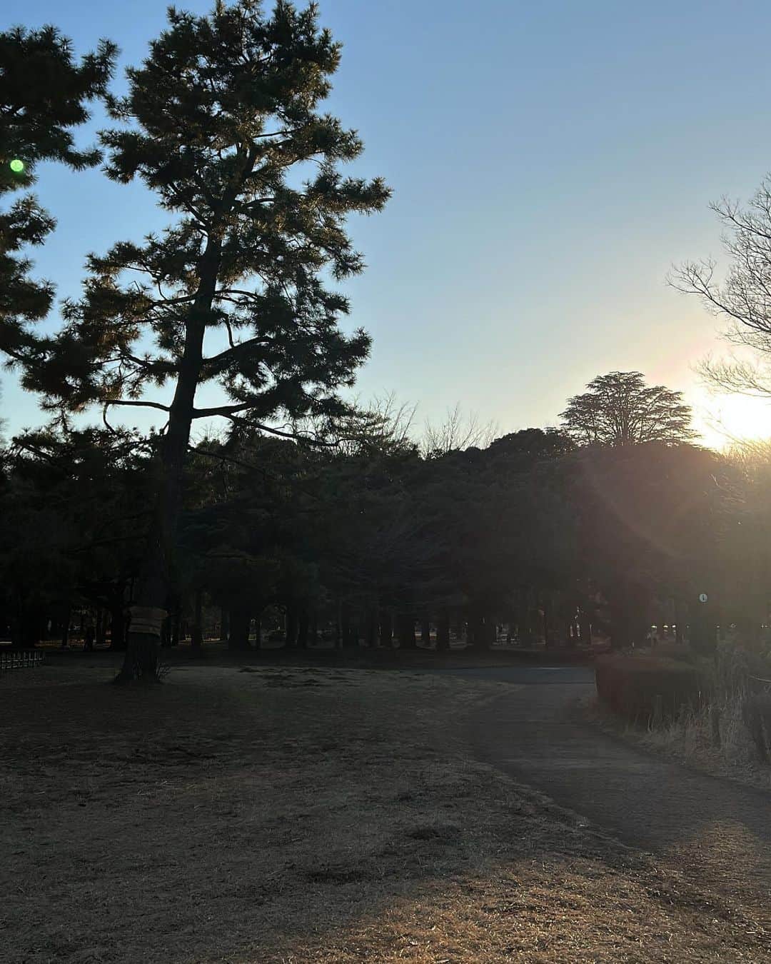 鈴木志音さんのインスタグラム写真 - (鈴木志音Instagram)「少しずつだけど暖かくなってきたね~！☘️ 公園で日向ぼっこしたい︎︎︎︎︎☺︎︎︎︎✌︎   #おんおん日記」2月17日 16時30分 - shion_supafuru