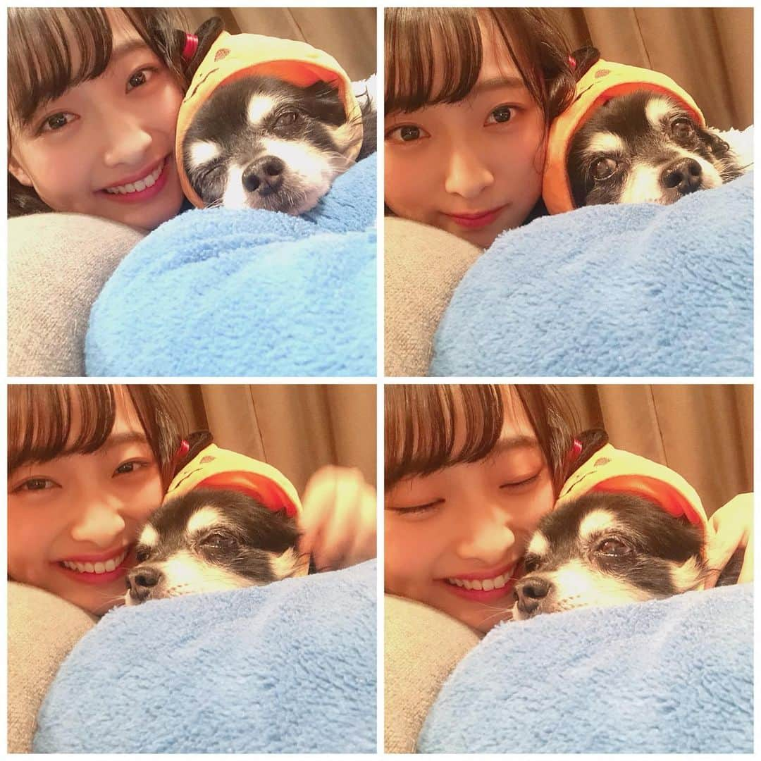 清原梨央のインスタグラム：「チョコさんのお誕生日🐶🎂 生きてたら今年で19歳なんだって。時の流れは早いなぁ  写真を見返すたびに愛おしくて愛おしくて泣けてくる。 どの時代も可愛すぎてたまらんなぁ🥹  チョコさんのことを想って 今日も一生懸命生きるよ☺︎ ずっとずっと大好き！  #お誕生日おめでとう」