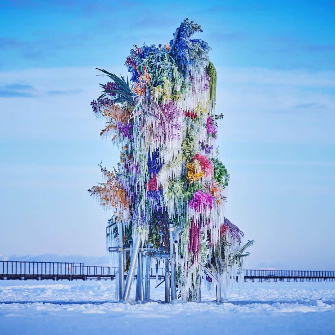 椎木俊介さんのインスタグラム写真 - (椎木俊介Instagram)「Frozen Flowers (2023)  #azumamakoto #makotoazuma #shiinokishunsuke #amkk #amkkproject #botanicalsculpture #todowara #hokkaido #theendoftheworld #東信 #東信花樹研究所 #トドワラ #野付半島」2月16日 12時28分 - shiinokishunsuke