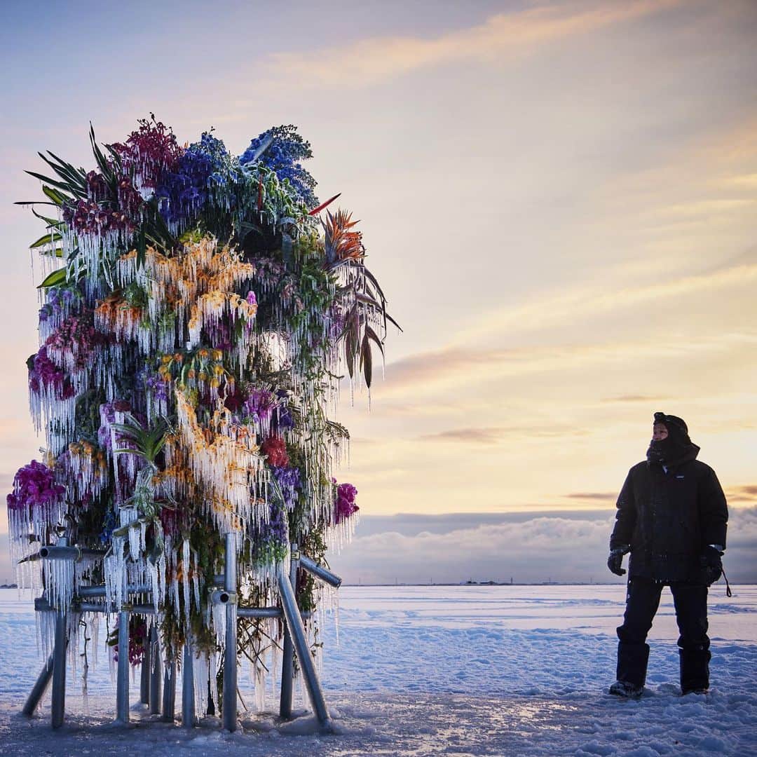 椎木俊介のインスタグラム：「Frozen Flowers (2023)  #azumamakoto #makotoazuma #shiinokishunsuke #amkk #amkkproject #botanicalsculpture #todowara #hokkaido #theendoftheworld #東信 #東信花樹研究所 #トドワラ #野付半島」